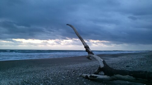 IMG_20131109_055731.jpg image