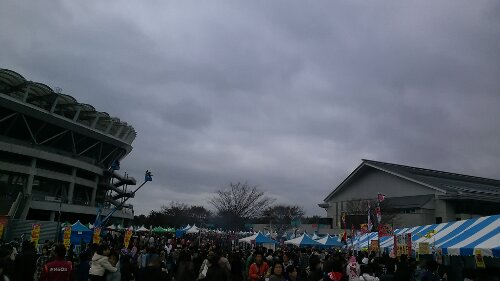 IMG_20131109_124626.jpg image