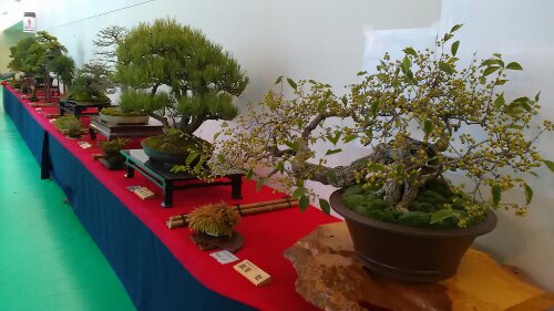 IMG_20131109_135819.jpg image