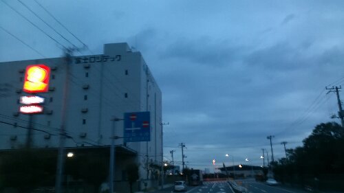 IMG_20131111_060756.jpg image