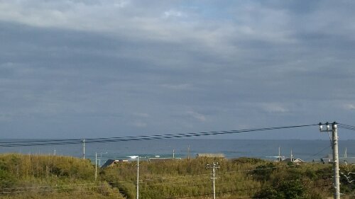 IMG_20131111_134502.jpg image