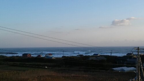 IMG_20131116_065916.jpg image