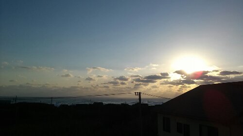 IMG_20131116_070027.jpg image