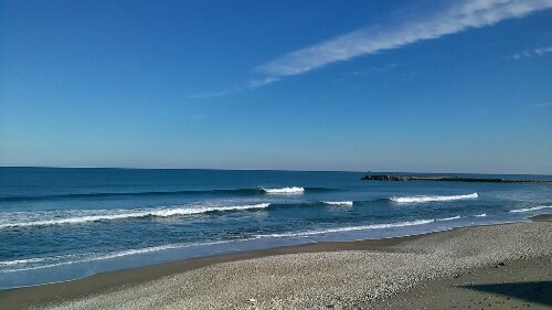 IMG_20131122_141722.jpg image