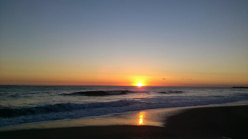 IMG_20131123_062505.jpg image