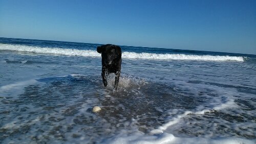 IMG_20131123_134937.jpg image