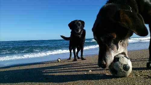 IMG_20131123_135131.jpg image