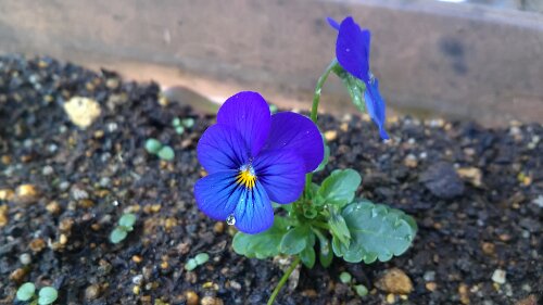 IMG_20131123_150010.jpg image