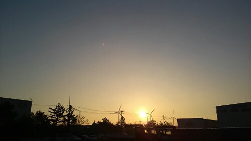 IMG_20131126_065316.jpg image