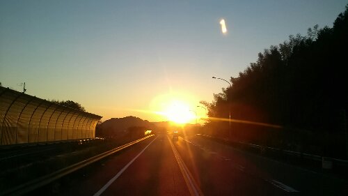 IMG_20131203_065534.jpg image