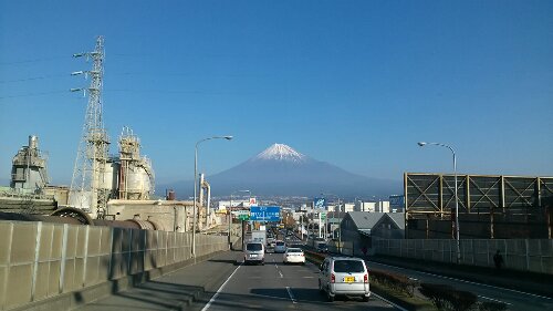 IMG_20131203_091030.jpg image