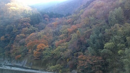 IMG_20131203_131549.jpg image