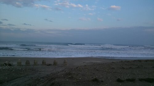 IMG_20131210_154646.jpg image