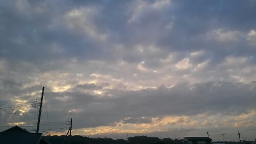 IMG_20131210_155159.jpg image