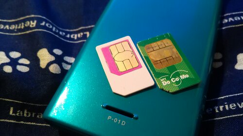 IMG_20131210_162448.jpg image