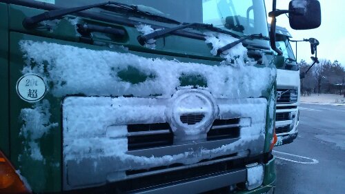 IMG_20131212_063319.jpg image