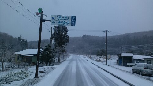 IMG_20131212_071258.jpg image