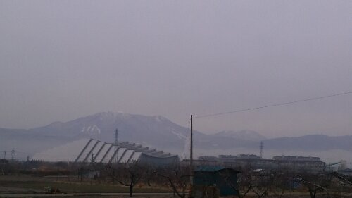 IMG_20131218_074953.jpg image