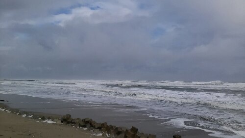 IMG_20131220_114549.jpg image