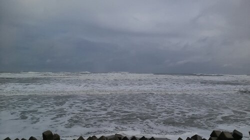 IMG_20131220_114602.jpg image