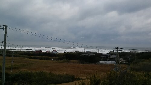 IMG_20131220_131643.jpg image