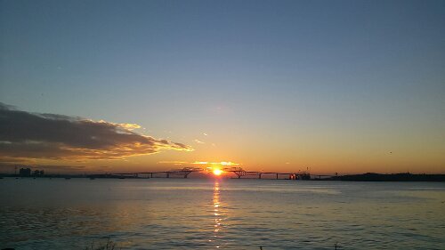 IMG_20131221_065227.jpg image