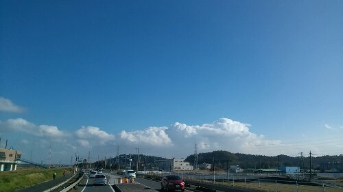 IMG_20131221_111004.jpg image