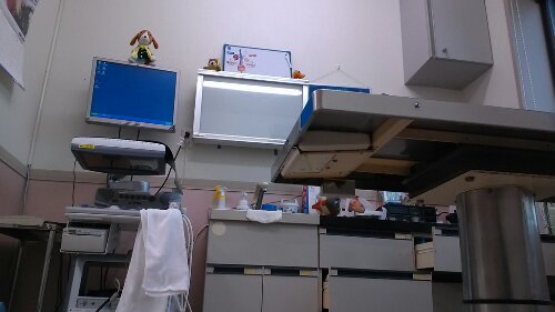 IMG_20131221_161252.jpg image