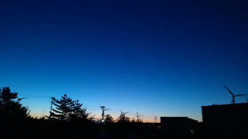 IMG_20131225_060645.jpg image