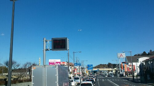 IMG_20131228_120447.jpg image