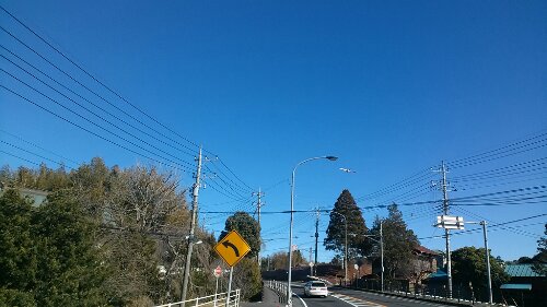 IMG_20131228_120609.jpg image