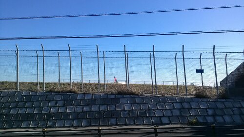 IMG_20131228_121242.jpg image