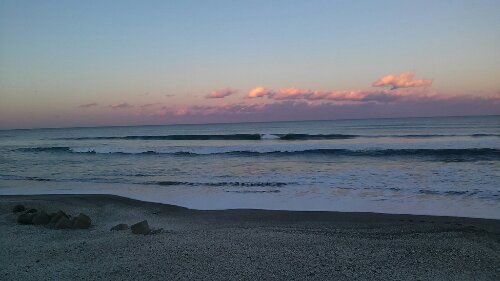 IMG_20131228_162410.jpg image