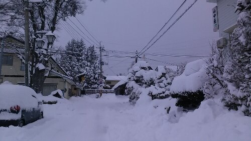 IMG_20131230_081054.jpg image