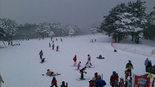 IMG_20131230_142608.jpg image