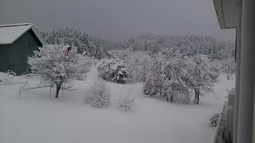 IMG_20131231_074134.jpg image