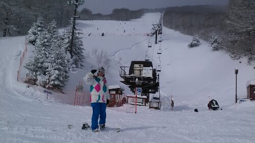 IMG_20131231_112321.jpg image