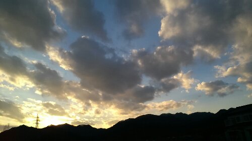 IMG_20131231_160212.jpg image