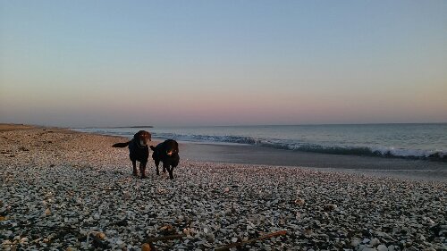 IMG_20140101_070217.jpg image