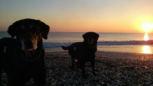 IMG_20140101_070244.jpg image