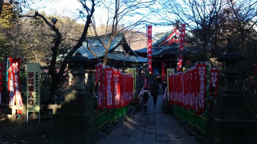 IMG_20140102_085141.jpg image