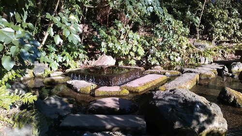 IMG_20140102_090900.jpg image