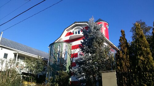 IMG_20140102_145551.jpg image