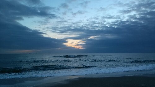 IMG_20140103_064523.jpg image