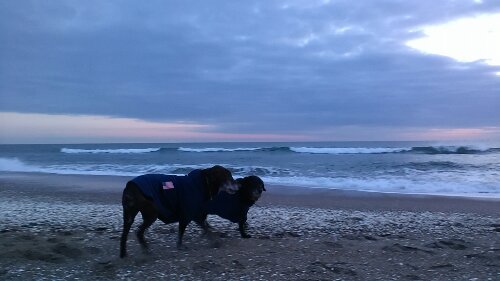 IMG_20140103_064601.jpg image