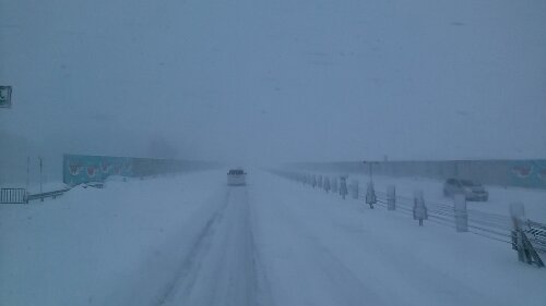 IMG_20140110_101010.jpg image