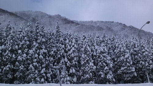 IMG_20140110_111902.jpg image