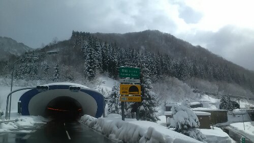 IMG_20140110_112222.jpg image