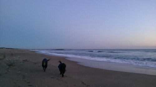 IMG_20140114_062956.jpg image