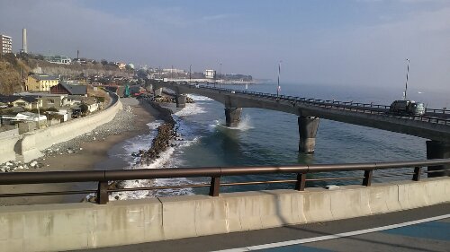 IMG_20140203_091028.jpg image